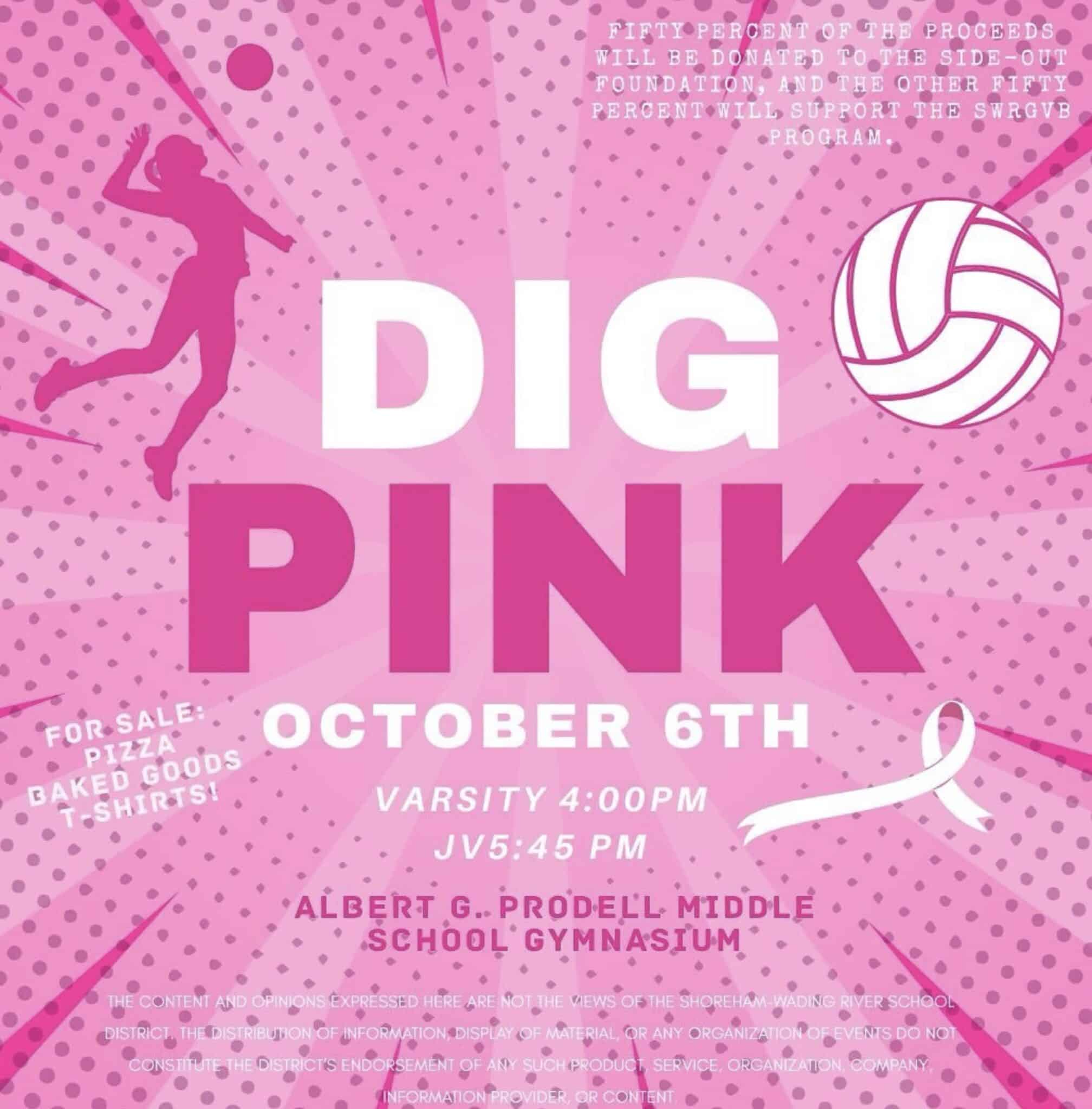 SWR Girls Volleyball Dig Pink | Team Up 4 Community